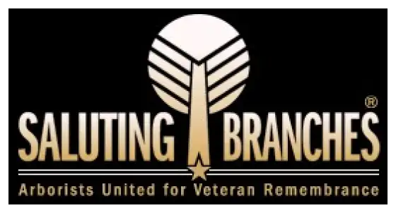 Saluting Branches